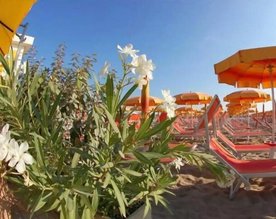Hotel Elite Cattolica