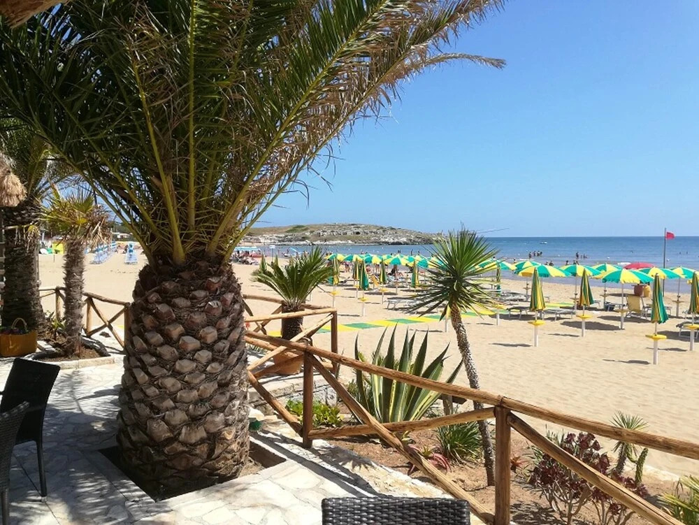 House With one Bedroom in Molinella, With Enclosed Garden and Wifi - 3