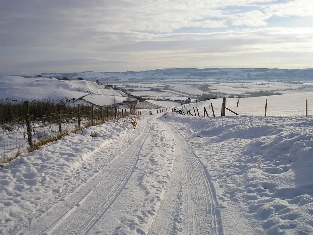 Northlees Farm