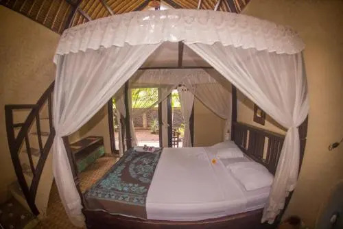 Pacha Hostel