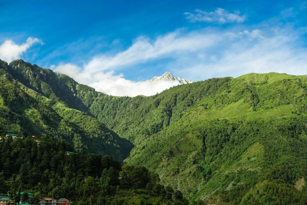 Mitra Mcleodganj