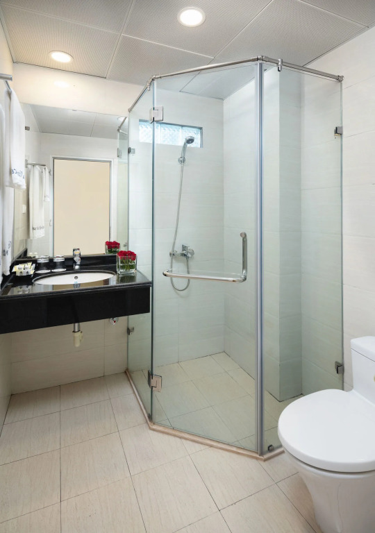 Dream Central Hotel & Spa - Hanoi Old Quarter
