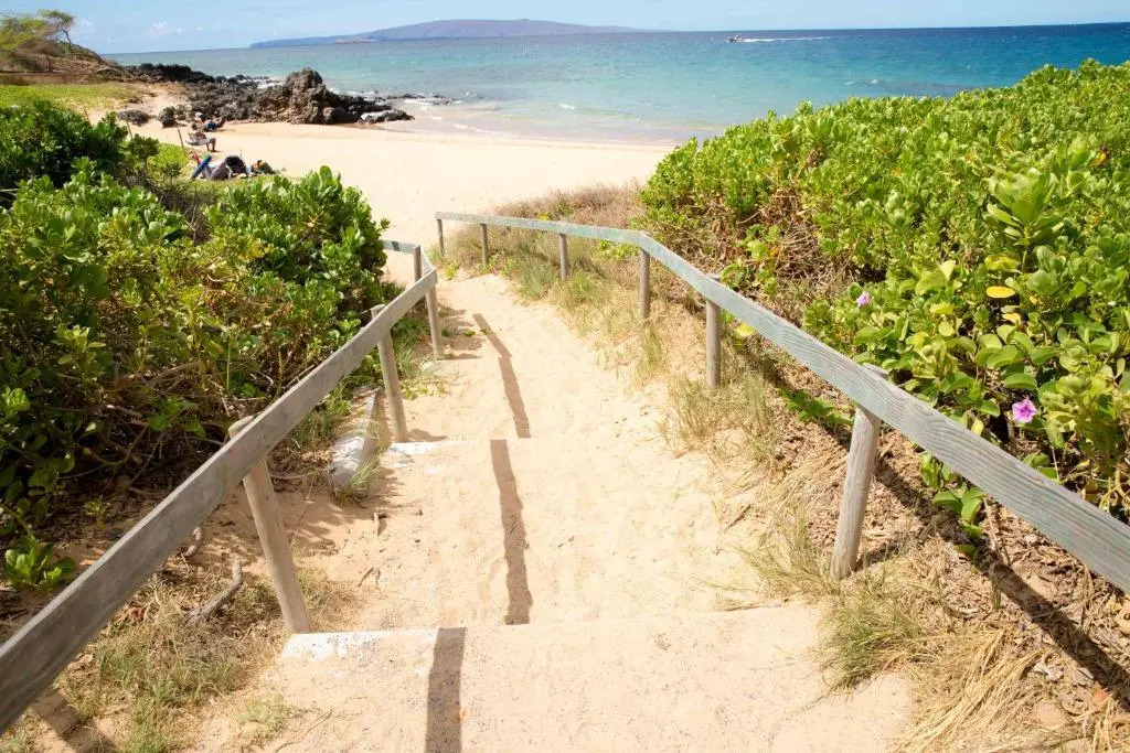 Hale Kamaole #333