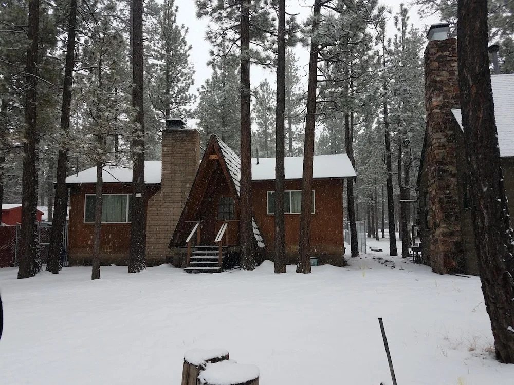 The Cozy Osito