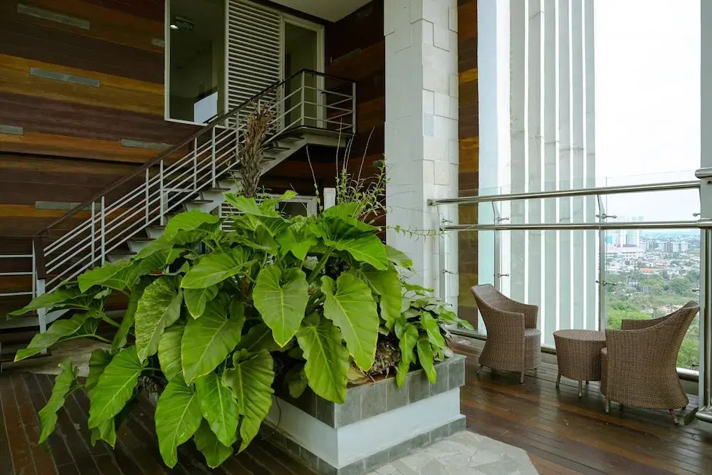 Comfortable 1BR @ Sky Terrace Apartment in Strategic Area