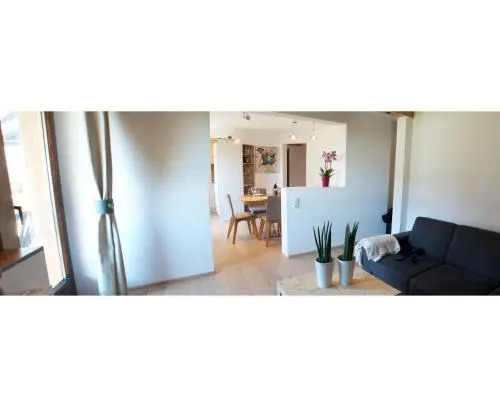 Kitzbhel Apartments element3