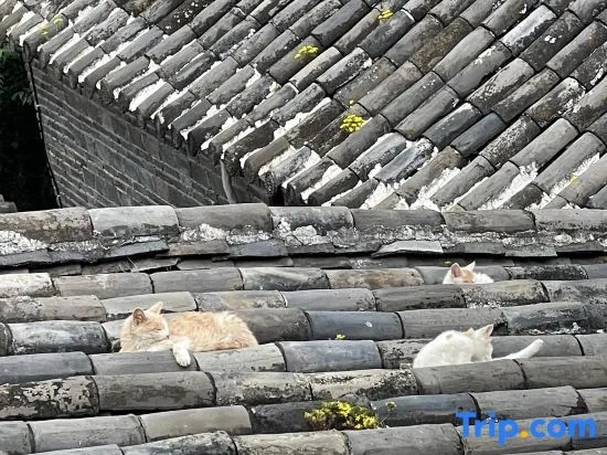 Huayang Nianhua Homestay
