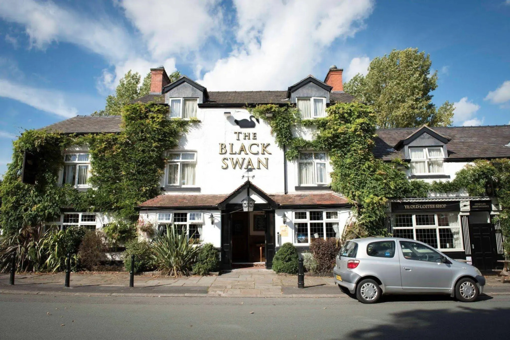 The Black Swan