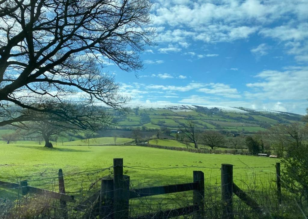 Glasfryn