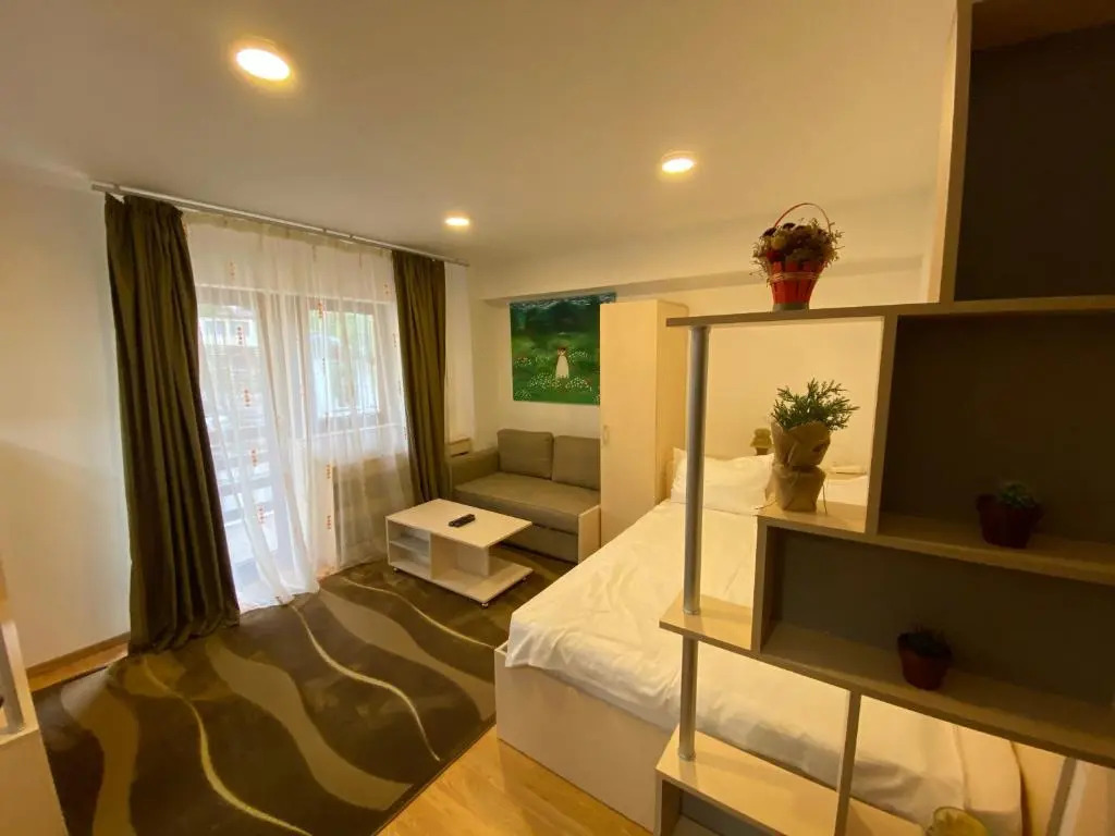 Sinaia Mirage Studio - Self Check-in & Self services! The studio is located 700 meters from the city center, 600 meters from the Peleș Castle in Sinaia - Plata si cu card vacanta