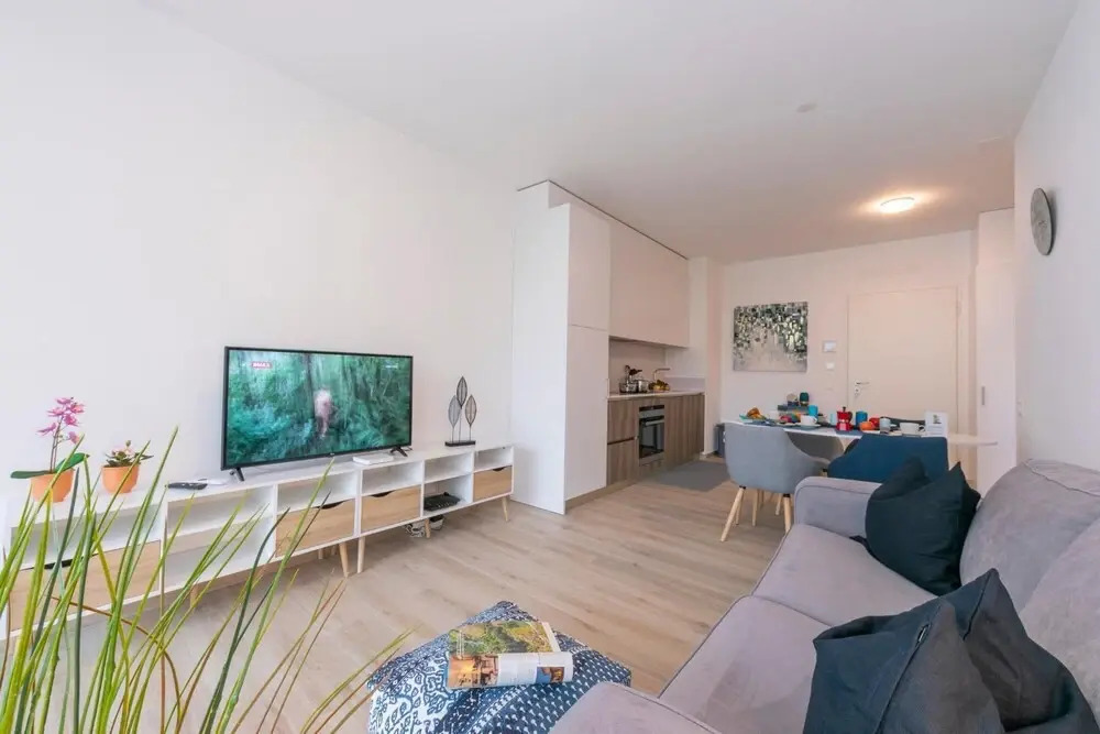 Wonderful Home in Viganello Lugano