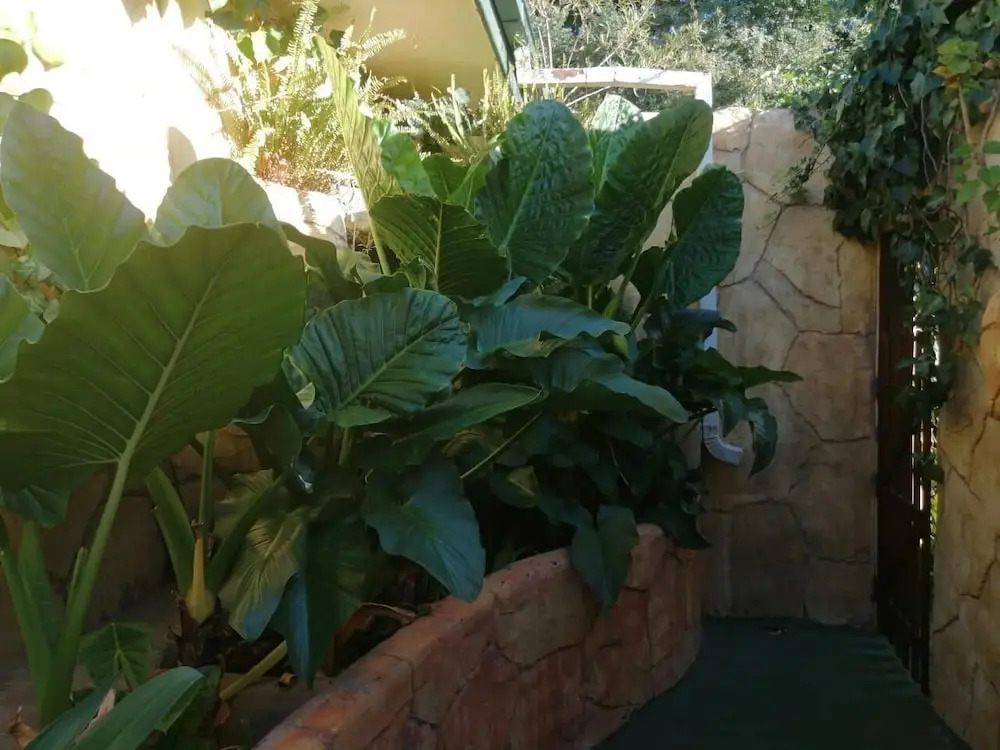 Casablanca Cabanas Guesthouse