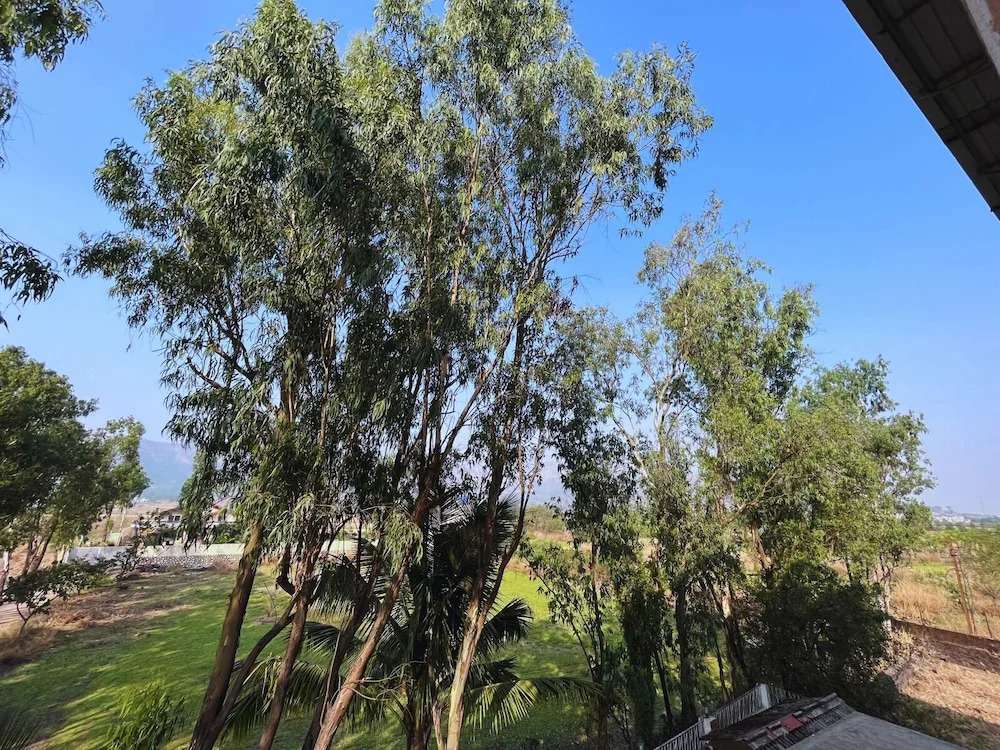 Olive Tree Resort