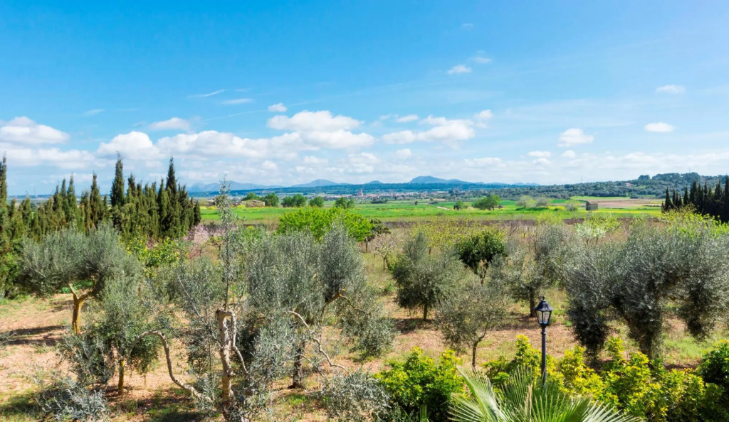 Villa Son Perxa 216 by Mallorca Charme