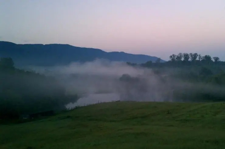 Misty Meadow Farm & Cabin