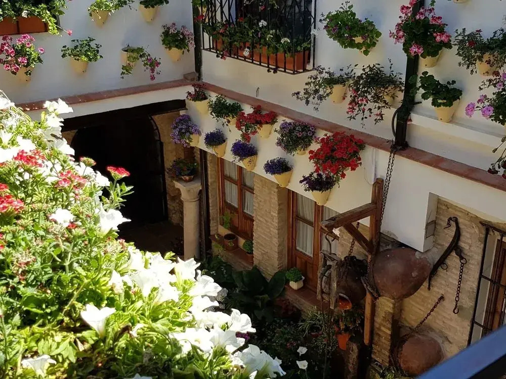 La Sultana Apartamentos