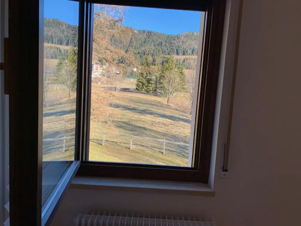 Trentino Apartments - Casa Aurora