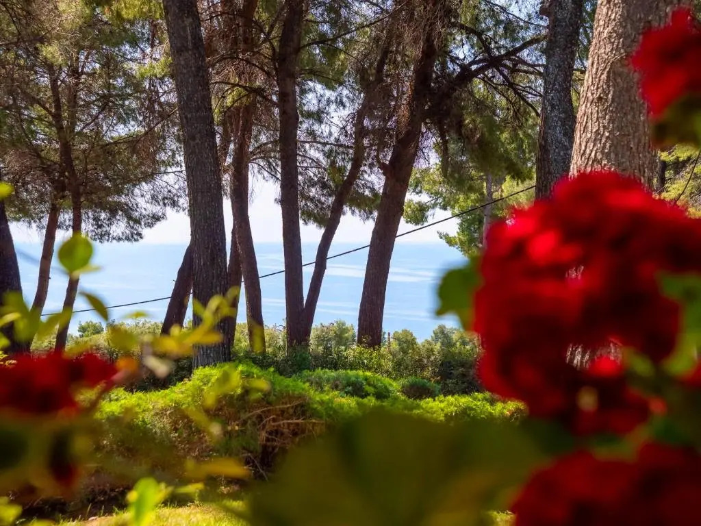 Sani Villa Lili 2