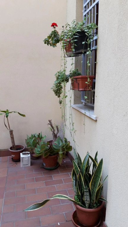 AKANTHO apartment