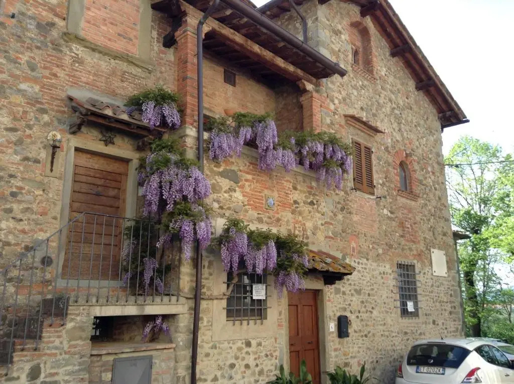 Il Glicine