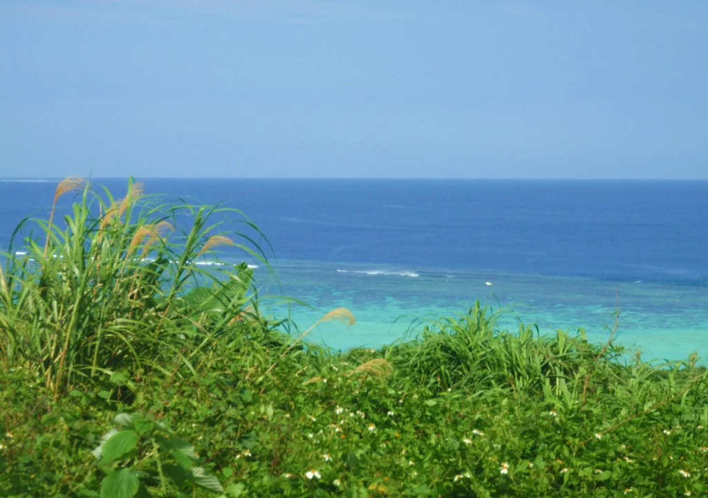 Twuriba Resort