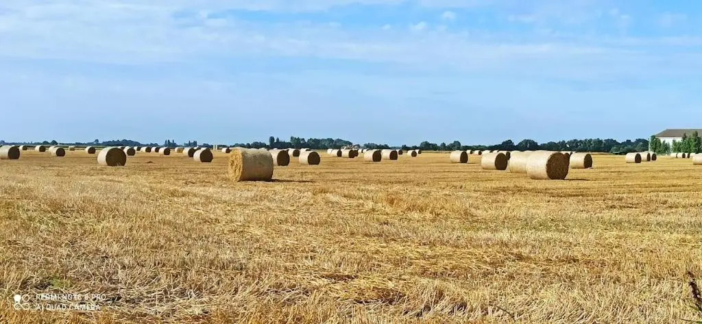 Hoeve Korenzegen. Oase van rust dichtbij strand