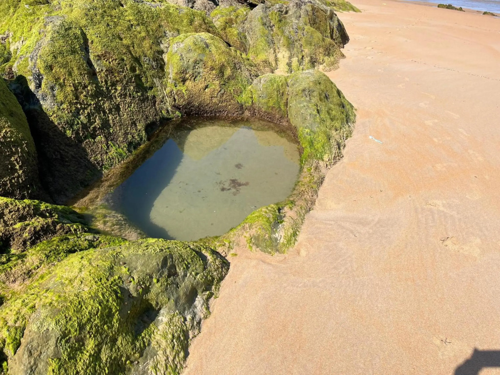 Piso sobre mar junto al Faro de Suances