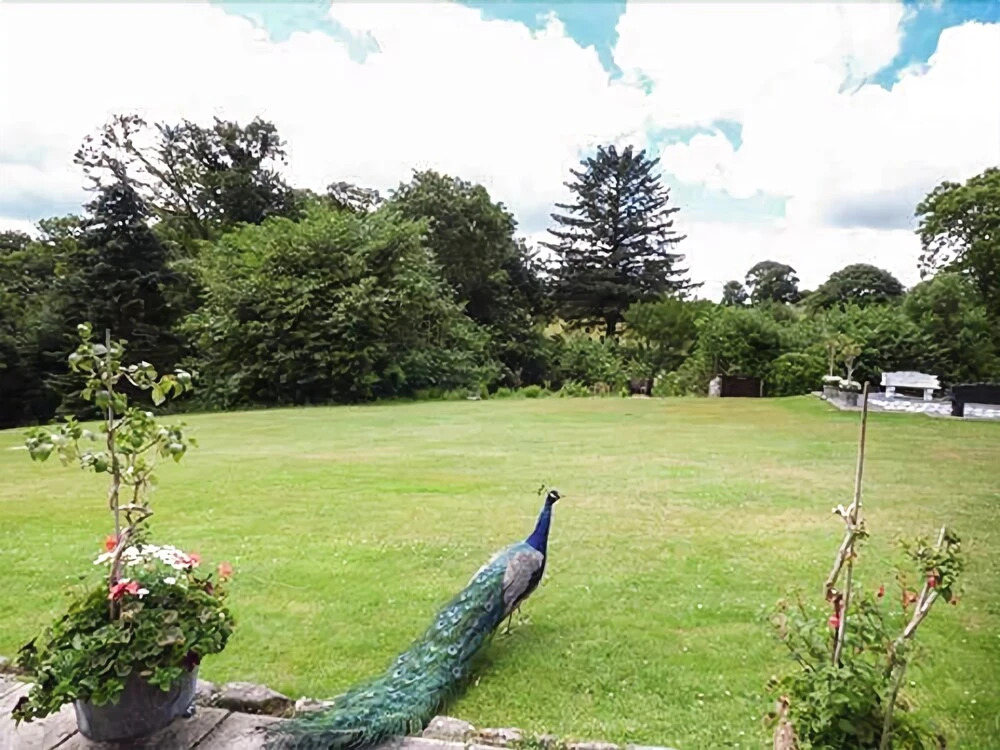 Talhenbont Hall