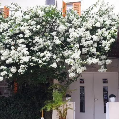 Pousada Villa Encanto