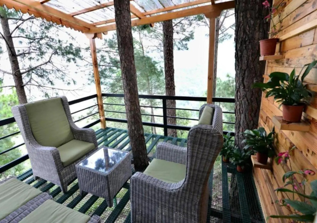 Kasauli Hills Resort