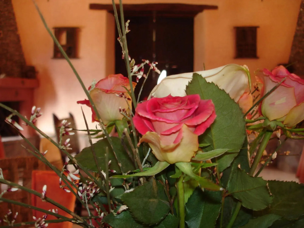 Auberge Chez Momo II