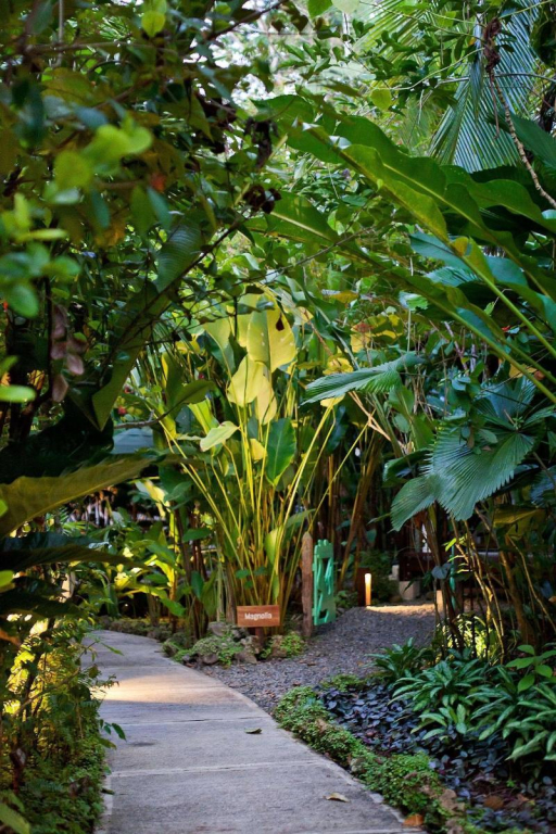 Hotel Aguas Claras Member of the Cayuga Collection