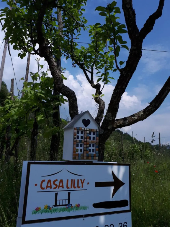 Casa Lilly