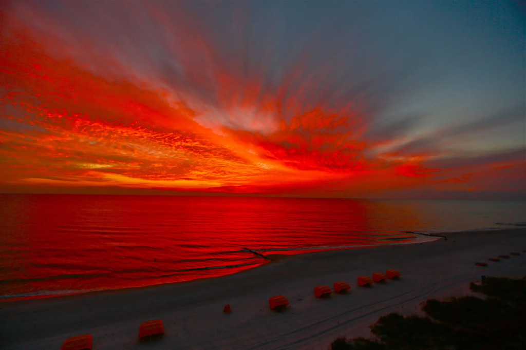 Shoreline Island Resort