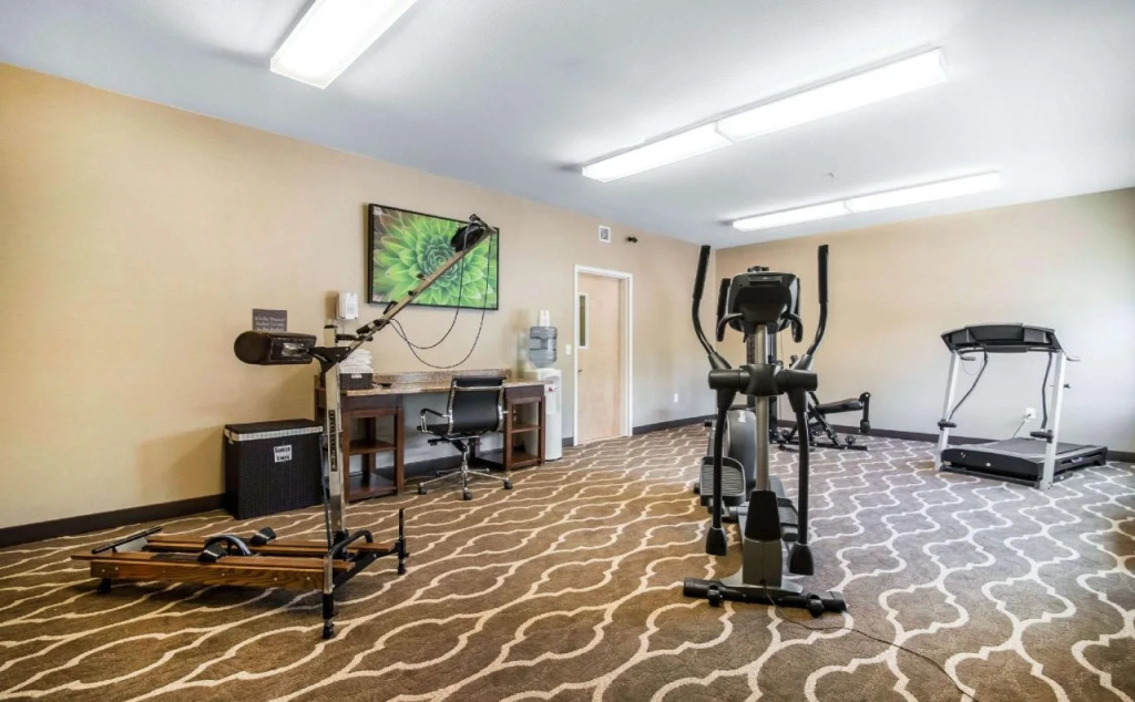 Comfort Inn Apalachin - Binghamton W Route 17