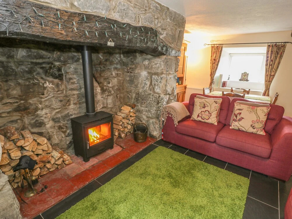 Plas Arenig