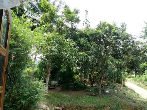 Pinnawala home stay