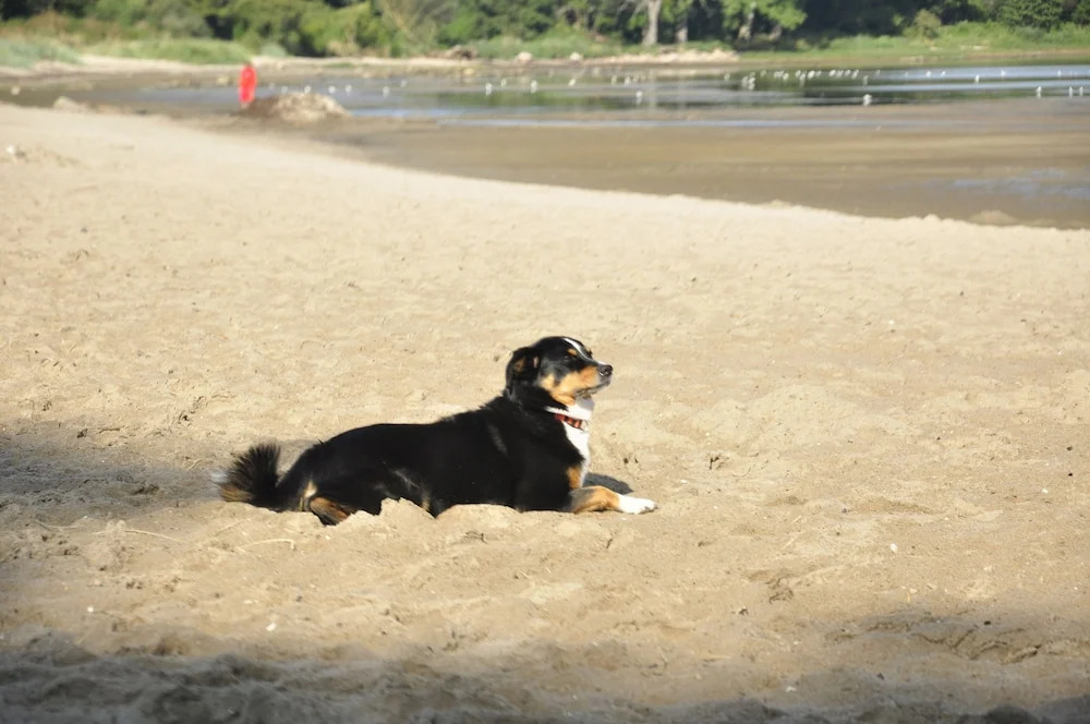 Hotel Zierow - Urlaub an der Ostsee