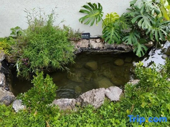 Huangguoshu Cuiwei Xianning Homestay
