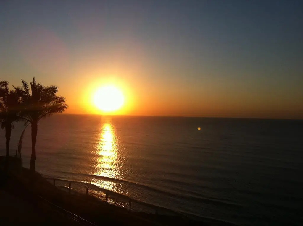 Luxury Apartments' in Netanya