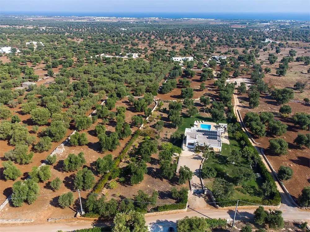 3165 Villa Saracino by Perle di Puglia