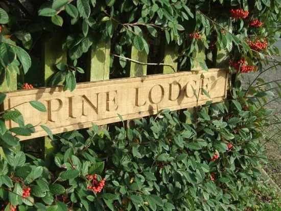 Pine Lodge Studio