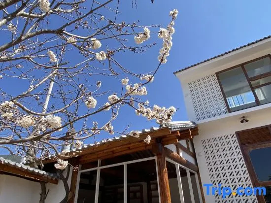 Shaxi Cantata Music Cafe B&B