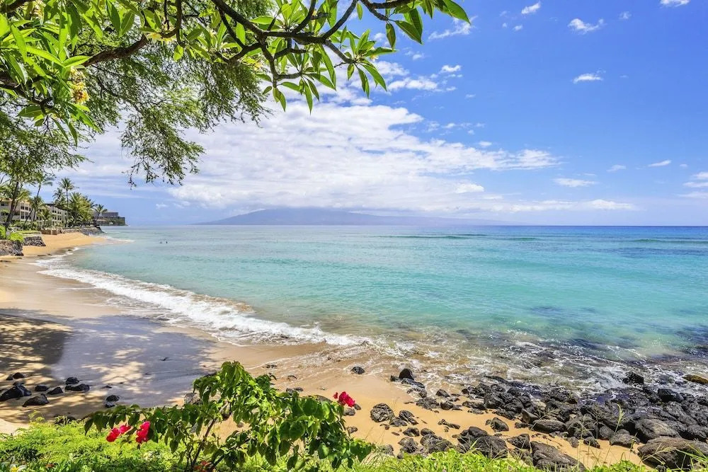 Kuleana 706 - 1Br Condo