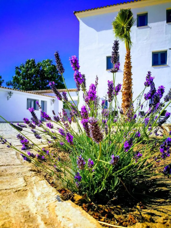 Hotel Ronda Moments
