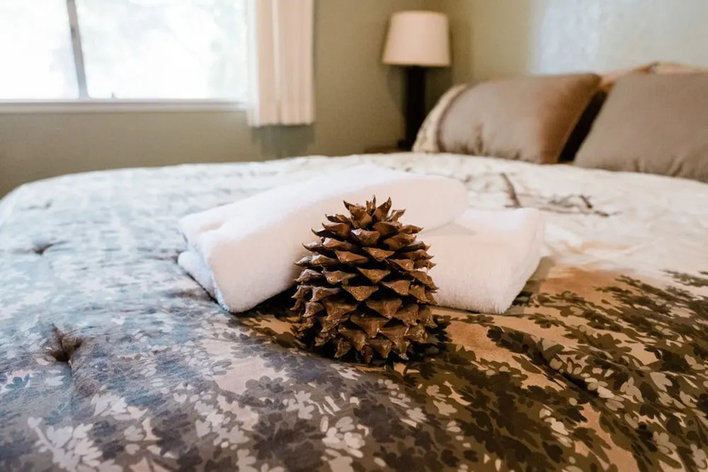 Pinecone Getaway