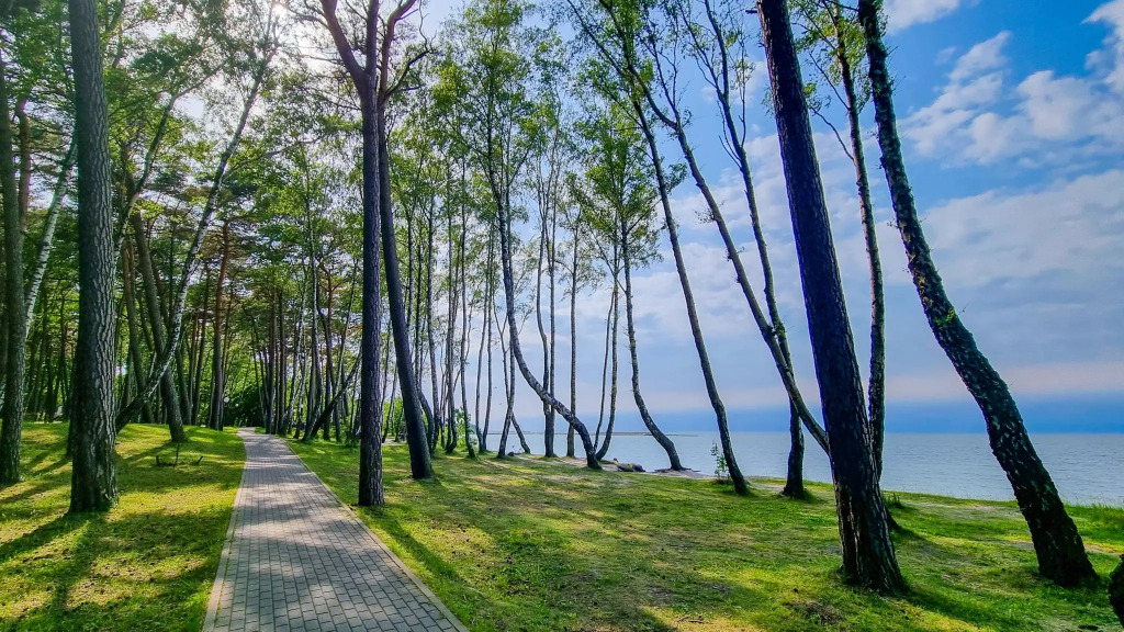 LovelyHome 39 (ЛавлиХоум 39) на улице Комсомольская 64