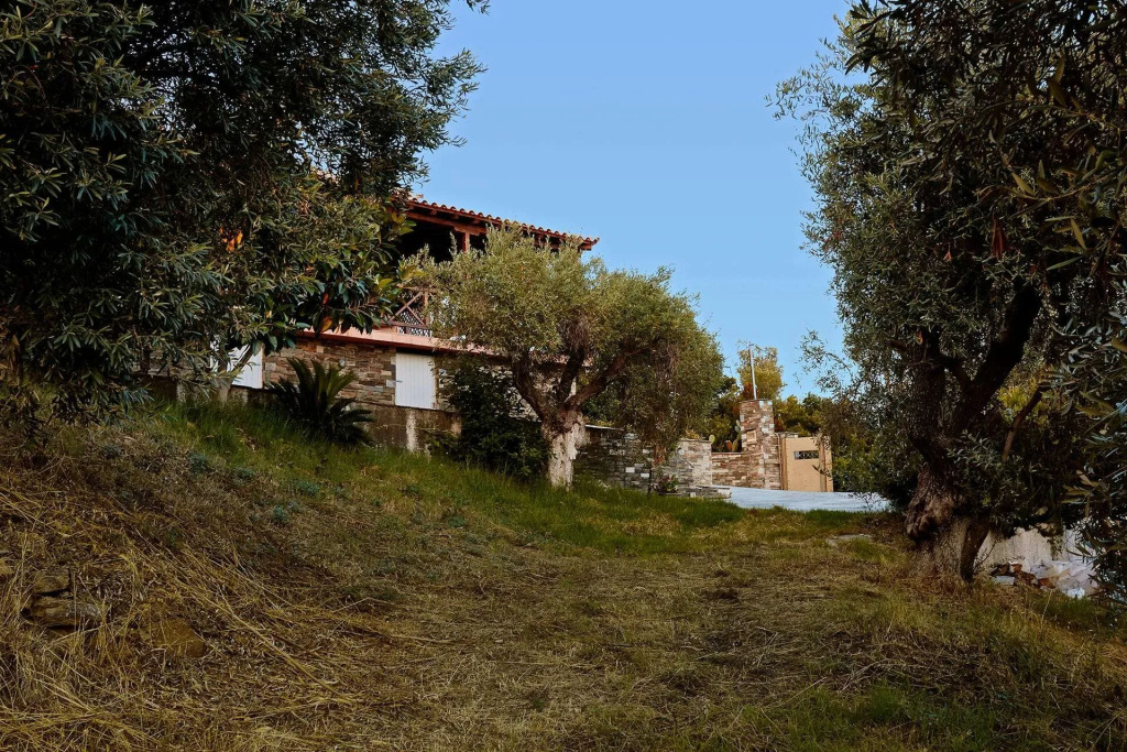 Skiathos Ira Hotel