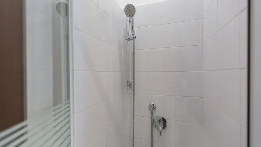 Rental In Rome Pelliccia Apartment