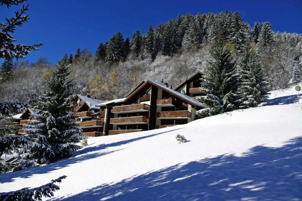 Résidence Ancolie - Hauts De Planchamp - 2 Pièces pour 5 Personnes 82